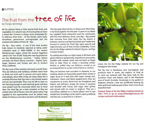 greaternoosaliving_jan09