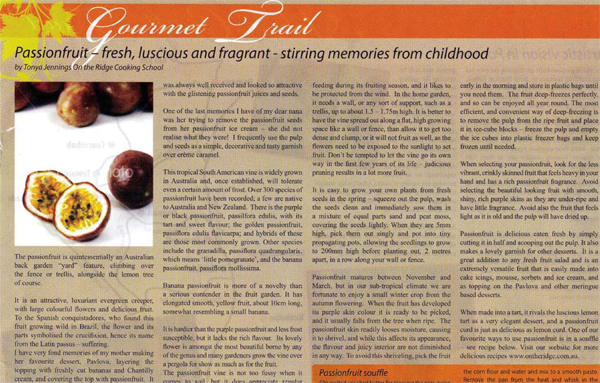 hinterliving_sept_2008