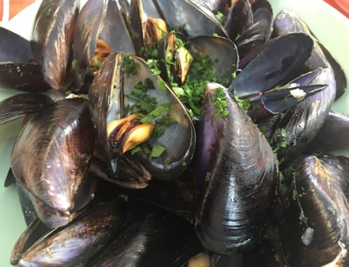 A simple classic Moules Marinière